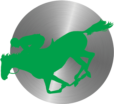 Horse-racing - Internacional De La Mujer 2011 (481x407)
