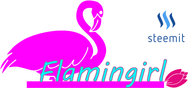 Flamingo Para Concurso2 - Flamingo Sprüche (769x341)