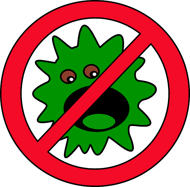 Be Aware Of These 6 Types Viruses - Bacteria Free (640x629)