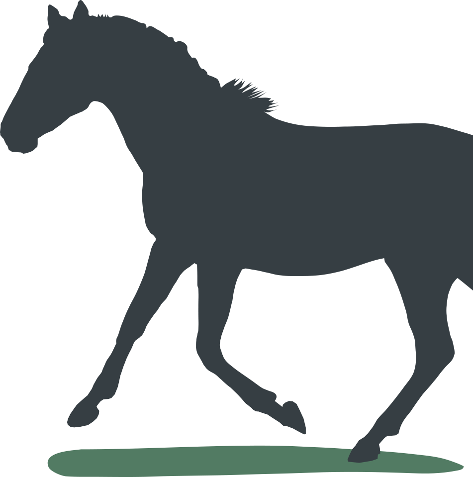 We Currently Have On Offer Foals, Yearlings, Colts - Love Riding2 Sticker (oval) (951x959)