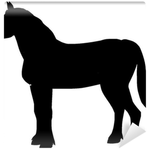 Stallion (400x400)