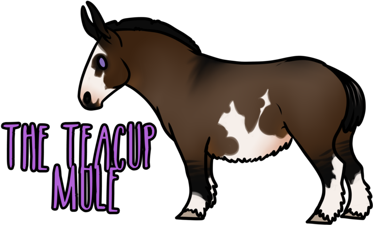 The Teacup Mule By Departeddoe - Mane (800x512)