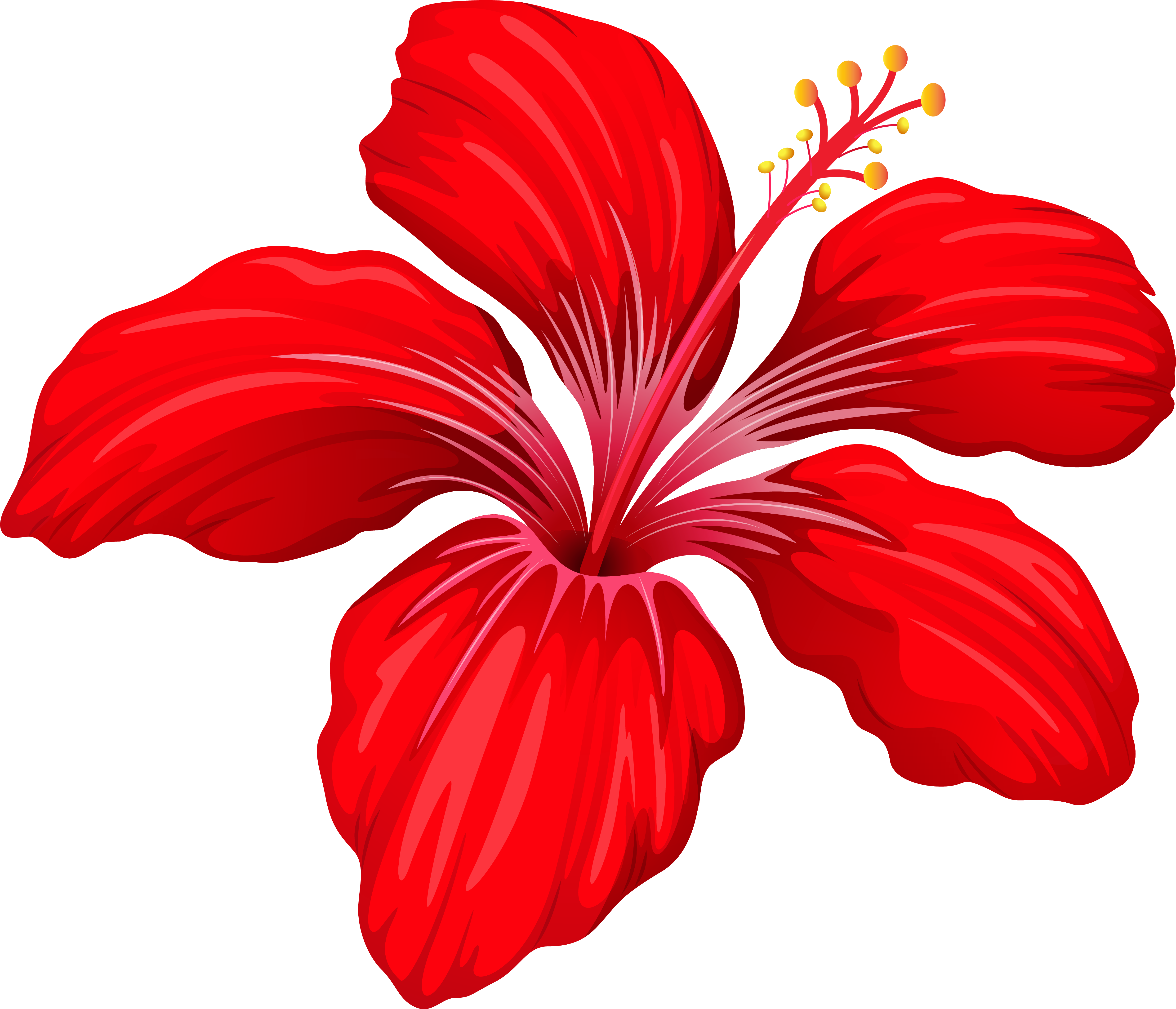 Red Flower Clipart Transparent - Different Type Of Flower (5165x4496)