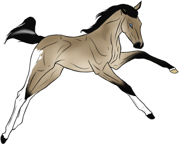 More Like Take This By Abosz007 - Stallion (900x670)