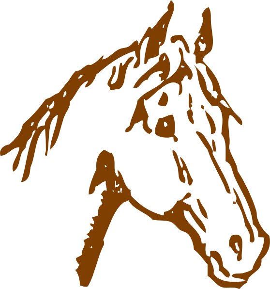 Brown Horse Head Clip Art At Clker - Cabeza De Caballo Png (558x596)