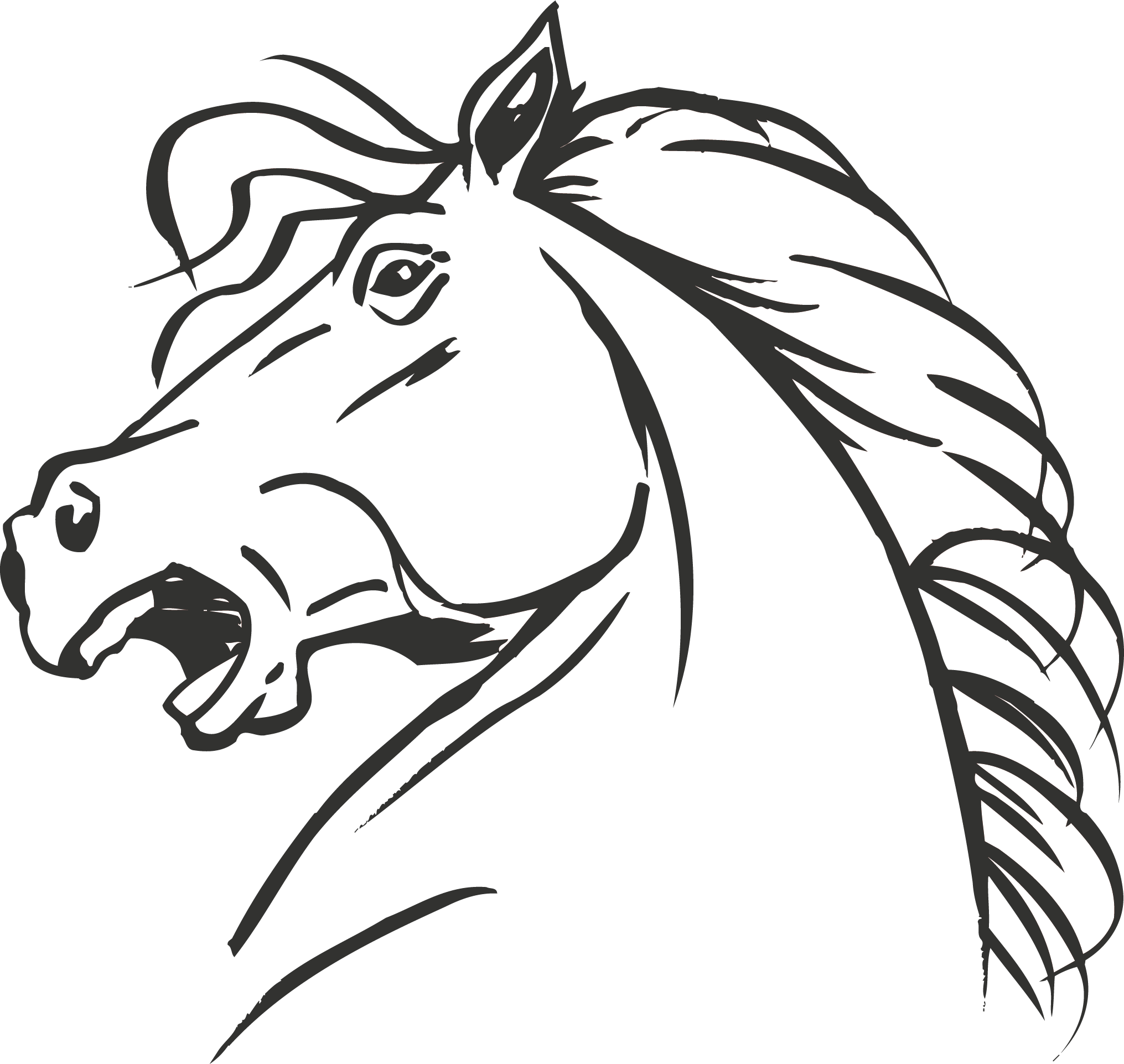1923 In Horse Head Png Clipart - Horse Head (2031x1923)