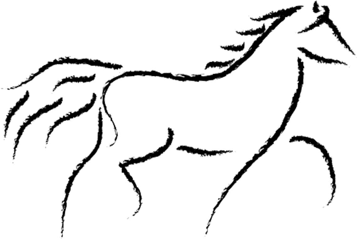Equine Anatomy And Biomechanics Running Horse Sketch 1200x880 Png Clipart Download