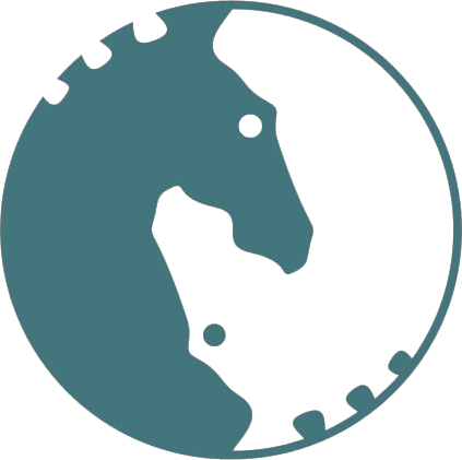 Horseyinyangeye - Yinyang Horse (423x421)