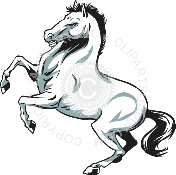 Rearing Stallion Horse - Rearing Horse Shower Curtain (361x360)