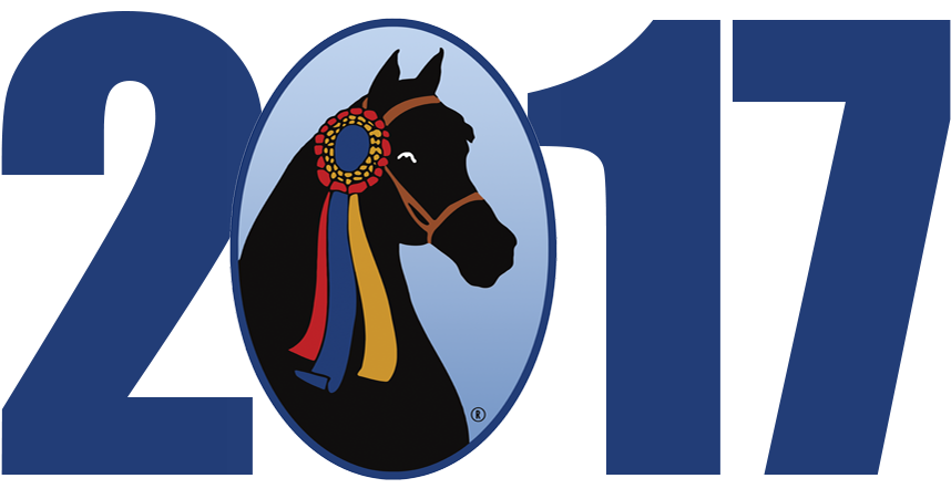 2017 Grand National & World Championship Morgan Horse - Horse (900x450)