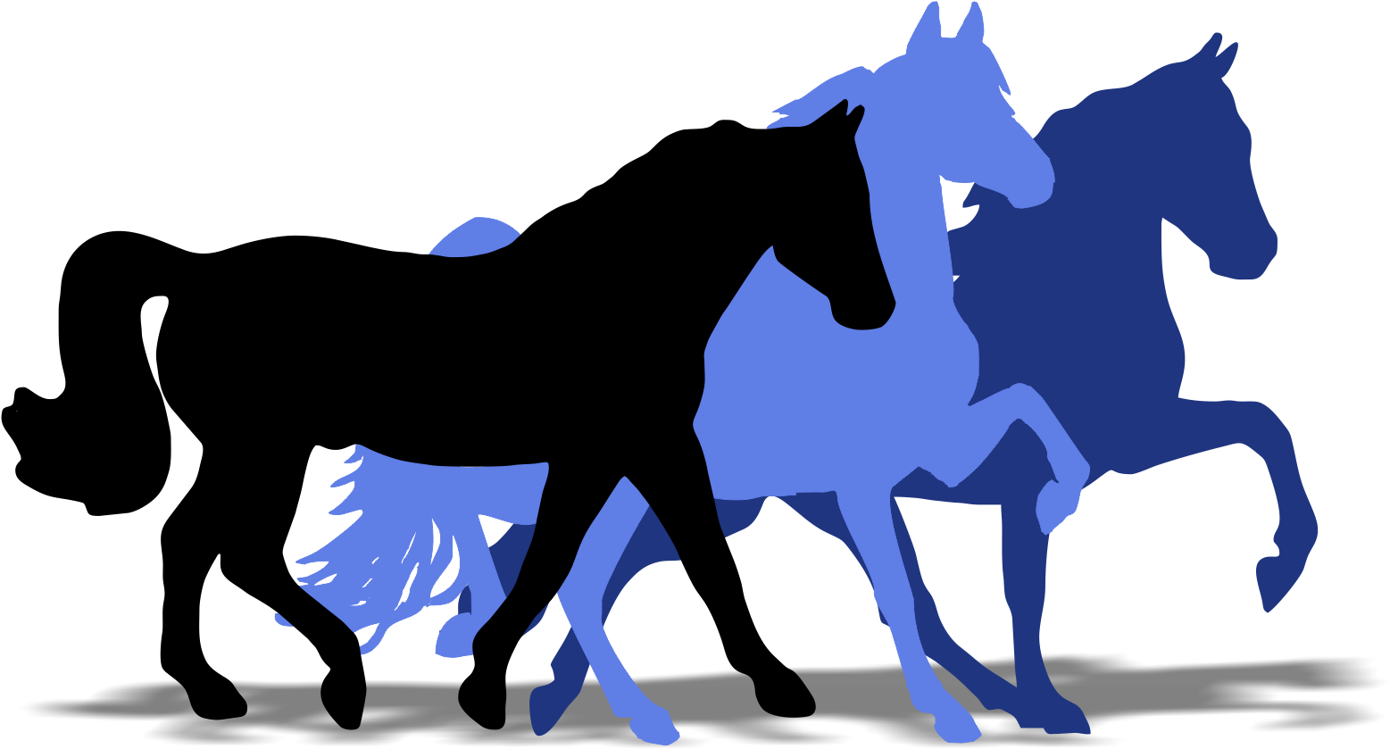 Super Horse Usa - Horse (1673x839)