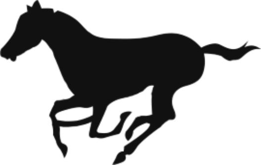Capitol Area Horse Show - Illustration (528x334)