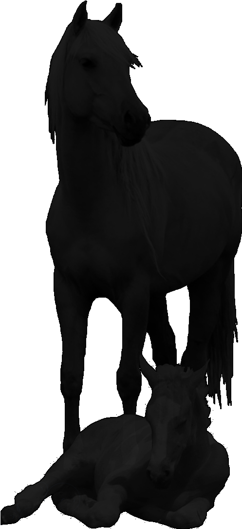 Click On Any Photo For Larger Picture/slideshow To - Horse (497x1086)