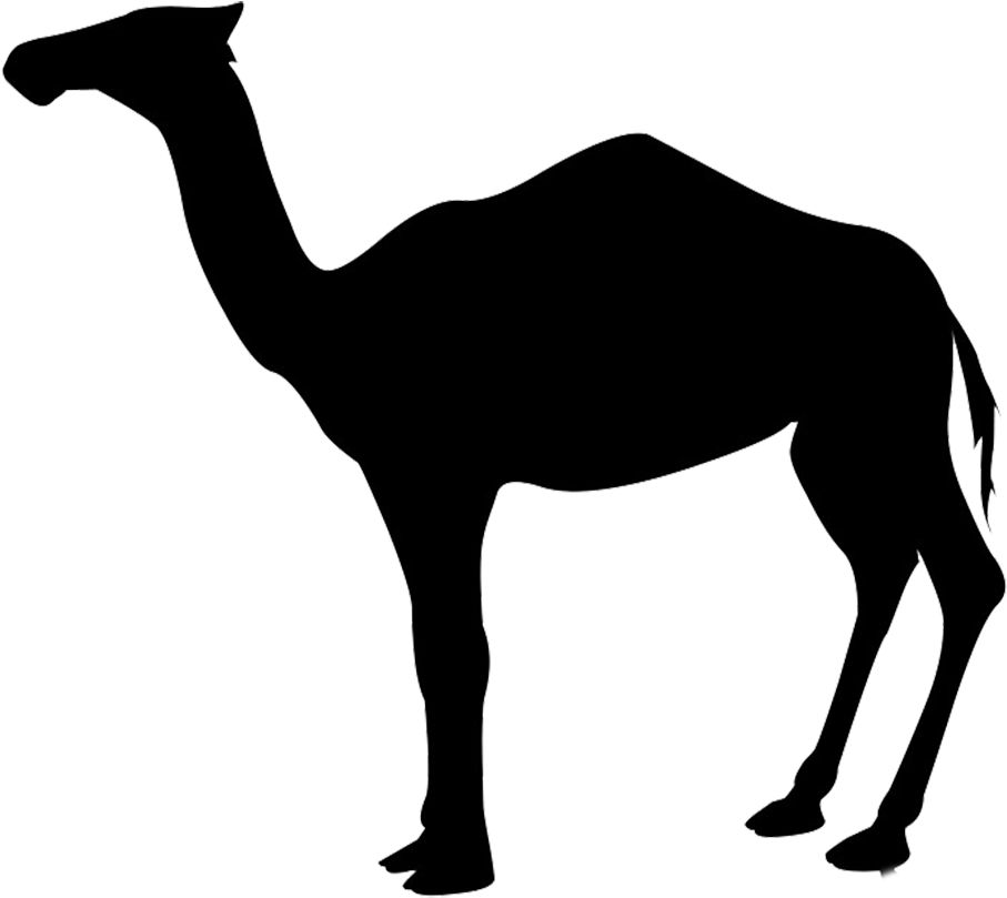 Shadow Clipart Camel - Dromedary Silhouette (945x851)