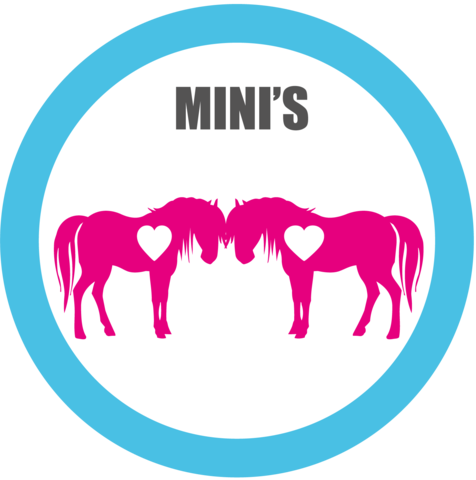Miniatures For Adoption - Portrait Of A Man (476x480)