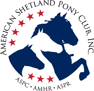 Welcome To The Area Vii Shetland Pony & Miniature Horse - American Shetland Pony Club (400x390)
