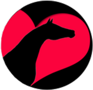 Miniature Horses - Horse (400x400)