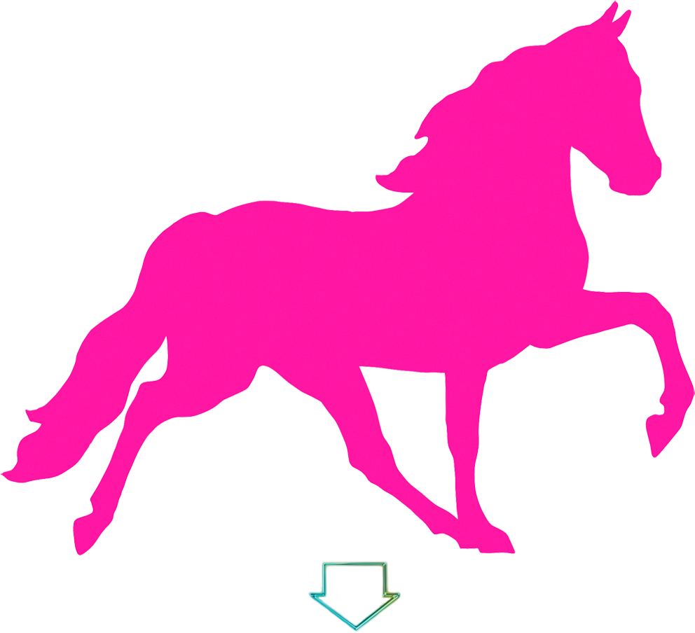 Pink Horse Shoe Clip Art - Horse (1000x912)