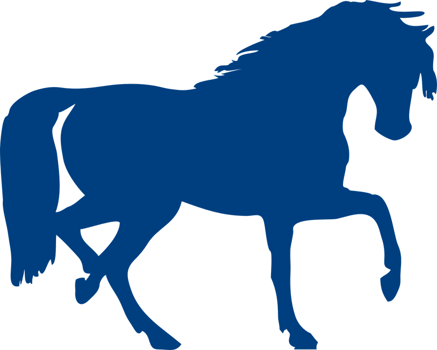 Free Image On Pixabay - Horse Silhouette Clip Art (898x720)