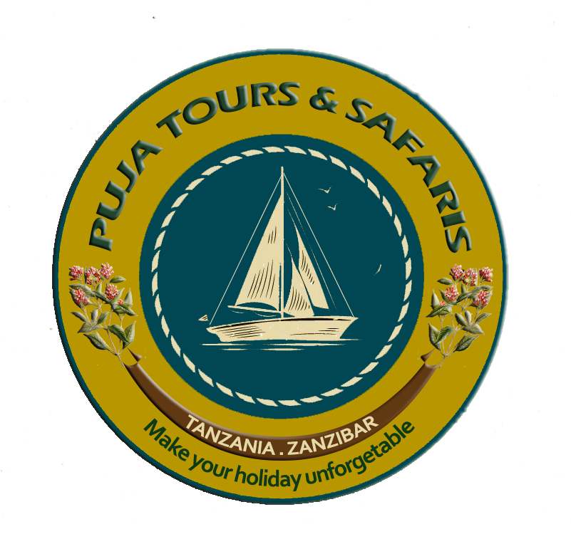 Dog Walker (819x751)