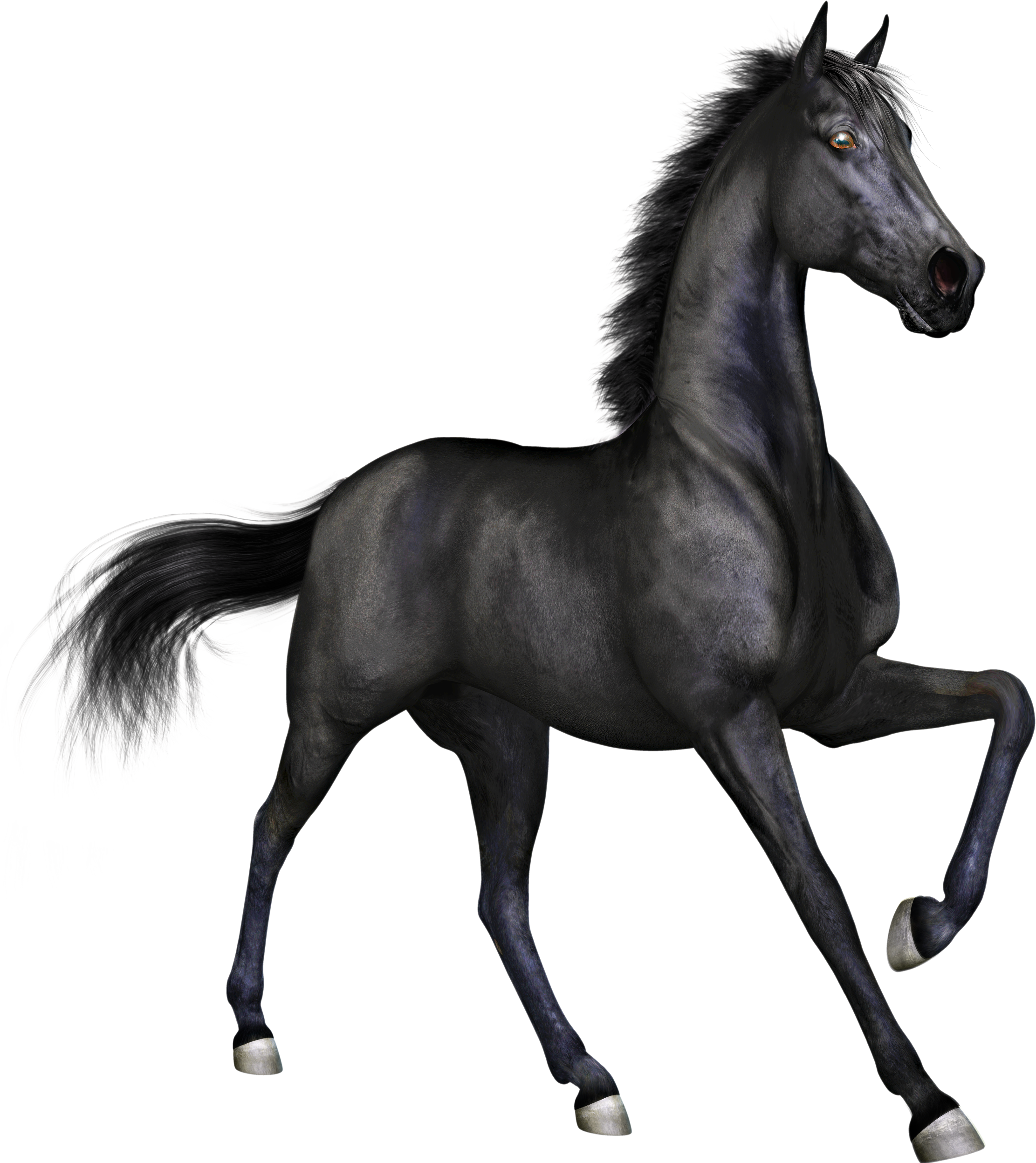 Black Horse Png (2223x2495)