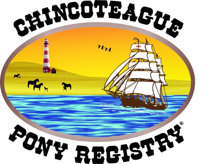 To Help With Expenses Of Transportation, Veterinary - Chincoteague Pony (784x575)