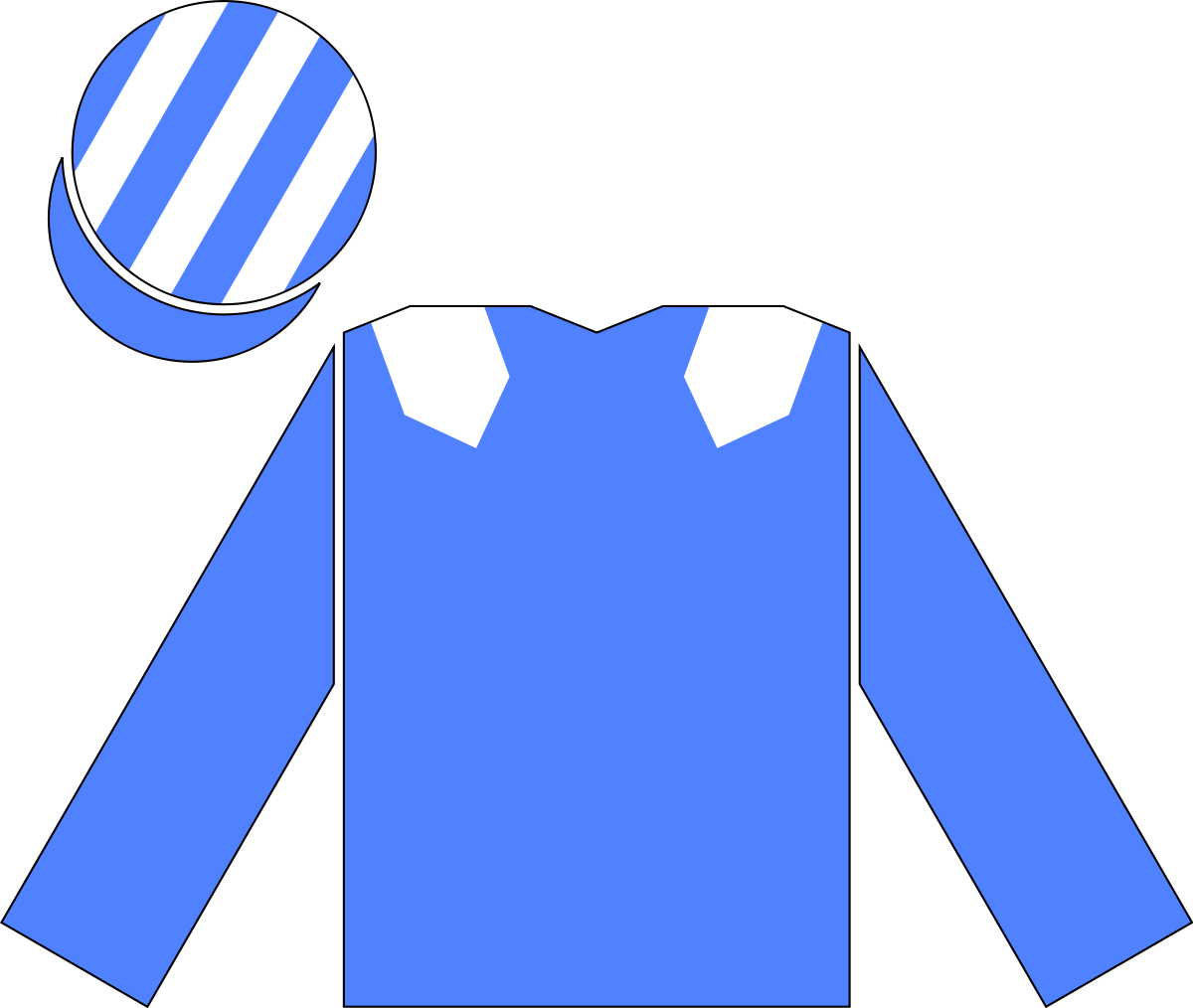Hamdan Al Maktoum Racing Colours (1200x1014)