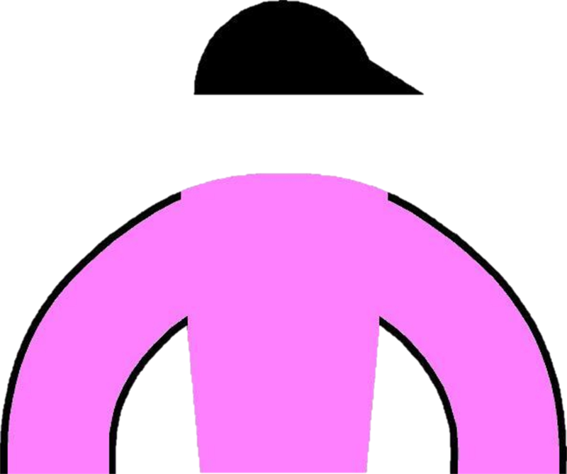 Aiken Thoroughbred Racing Hall Of Fame And Museum (800x669)