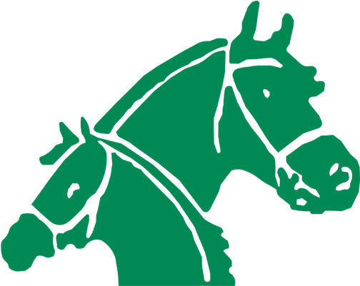 Best Horse Transport Business Or Company Is Goldners - Mane (700x400)