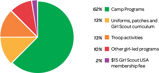 A Girl Scout Thank You - Circle (598x250)