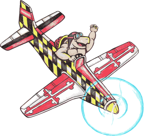 Women In Aeronautics And Astronautics Aerospace Engineering - North American P-51 Mustang (500x474)