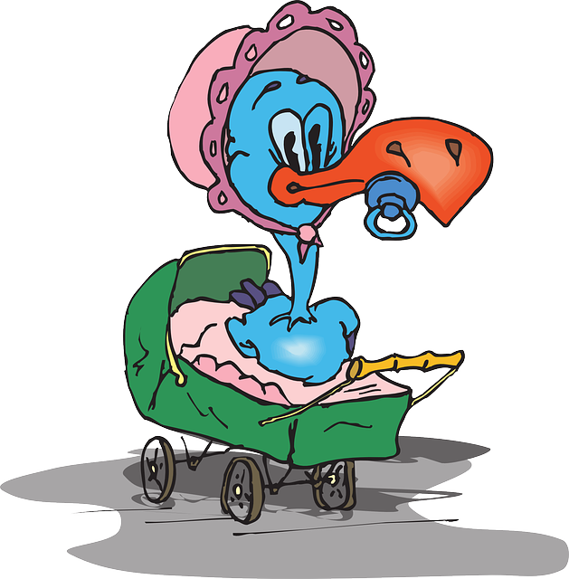 Carriage Baby, Cartoon, Bird, Bonnet, Pacifier, Carriage - Cartoon Baby With Bonnet (629x640)
