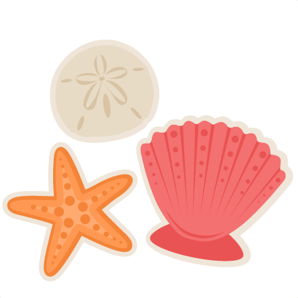 Large Seashells Cliparts And Others Art Inspiration - Sea Shell Clip Art (432x432)