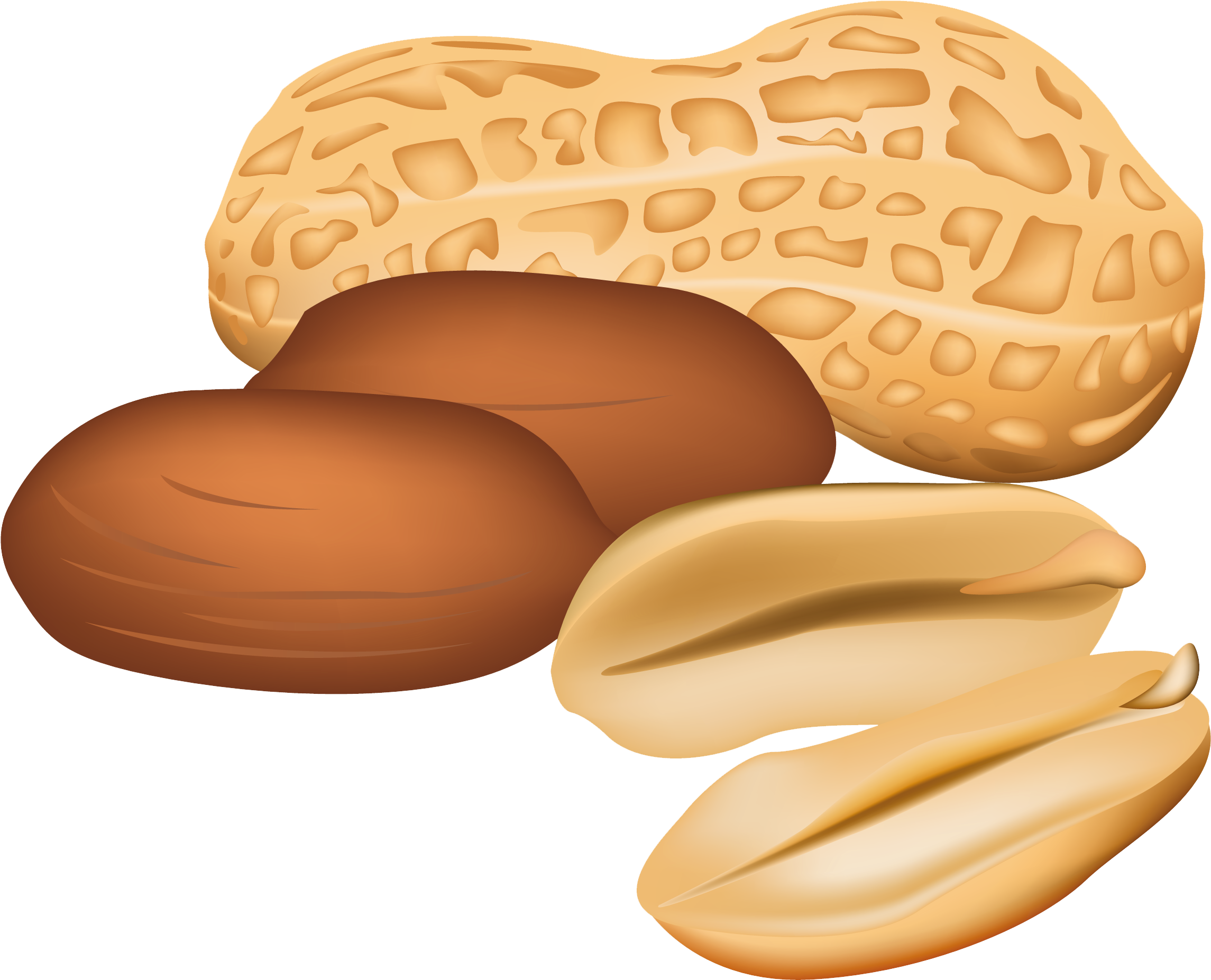 Peanuts Png Clipart Picture - Peanuts Png Clipart Picture (2545x2094)