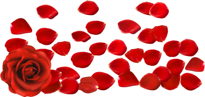 Red Rose With Petals Png Clipart Picture - Rose Petals Png Transparent (721x353)