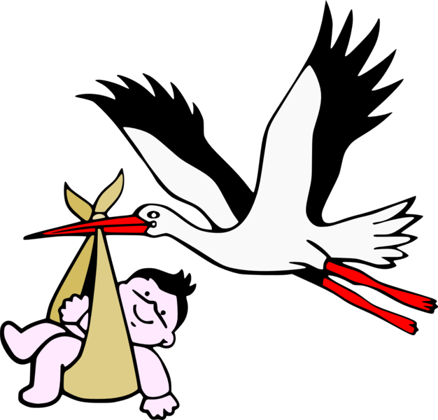 Storks Baby - Montagne Sainte-victoire (626x600)