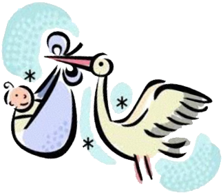 We're Having Babies And Some Older Kids, Too - Illustration (418x418)