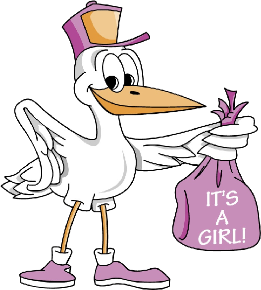 Stork Carrying Baby Girl 4 600×600 Pixels - Baby Girl Stork (600x600)