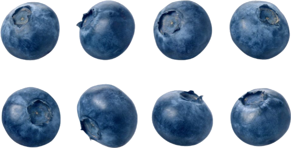 Blueberry Clipart Transparent - 14th Street Pizza Multan (1065x827)