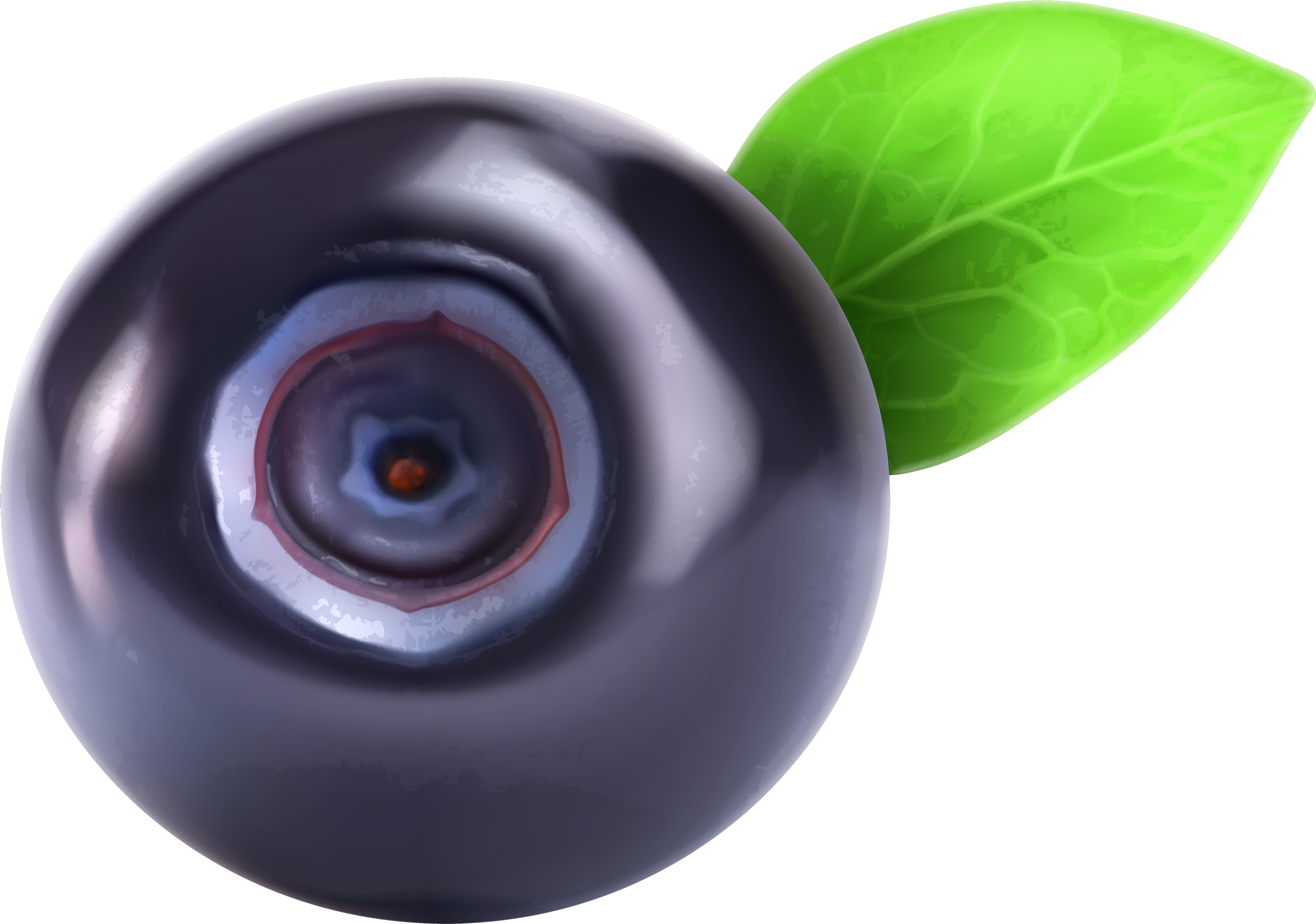 Blueberry Png Clipart - Blueberry Png (3500x2620)