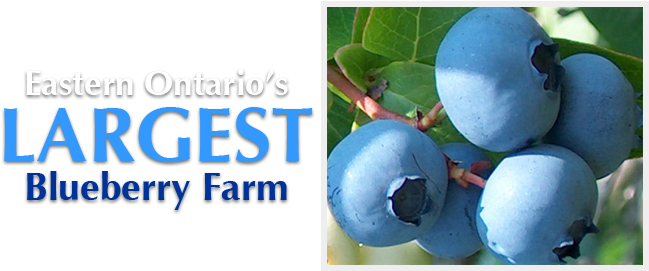 Hugli's Blueberry Ranch Is Eastern Ontario's Largest - Hugli's Blueberry Ranch, Gift Store & Play Park (670x270)