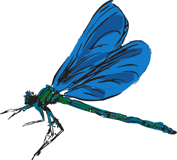 Dragonfly Art Clip Art At Clker - Dragonfly Clip Art (600x541)