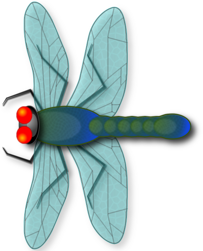 Make Your Own Dragonfly From Scratch *beginners* - Net-winged Insects (800x800)