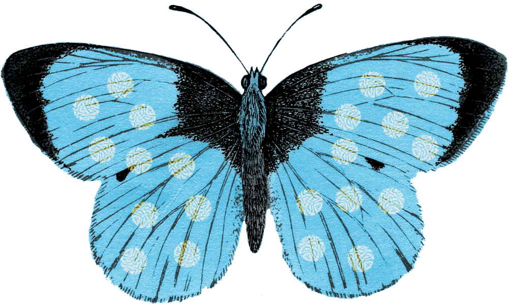 The Background Fairy - Modern Paris Eiffel Tower Oval Ornament (1013x638)