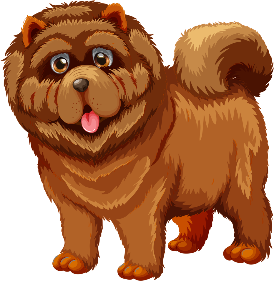 Cães & Gatos - Chow Chow Clipart (1024x1018)