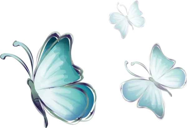 Image Du Blog Zezete2 - Butterfly Cherry Blossom Watercolor Shower Curtain (600x412)