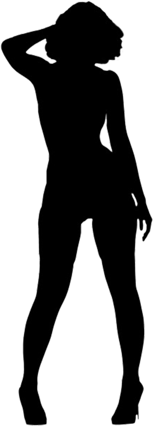 Woman In Dress Silhouette Png - Silhouette (340x886)