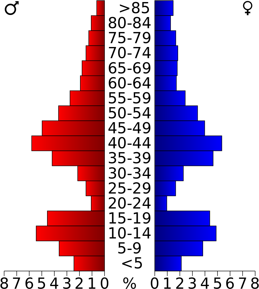 No Se Requiere Instalación De Software, Gratuito Online - Northwest Arkansas Population By Age (887x1023)