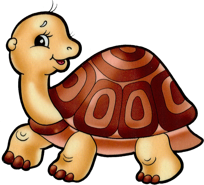 Tortoise And Turtle Cartoon Png Images On A Transparent - Clipart Tortoise (800x726)