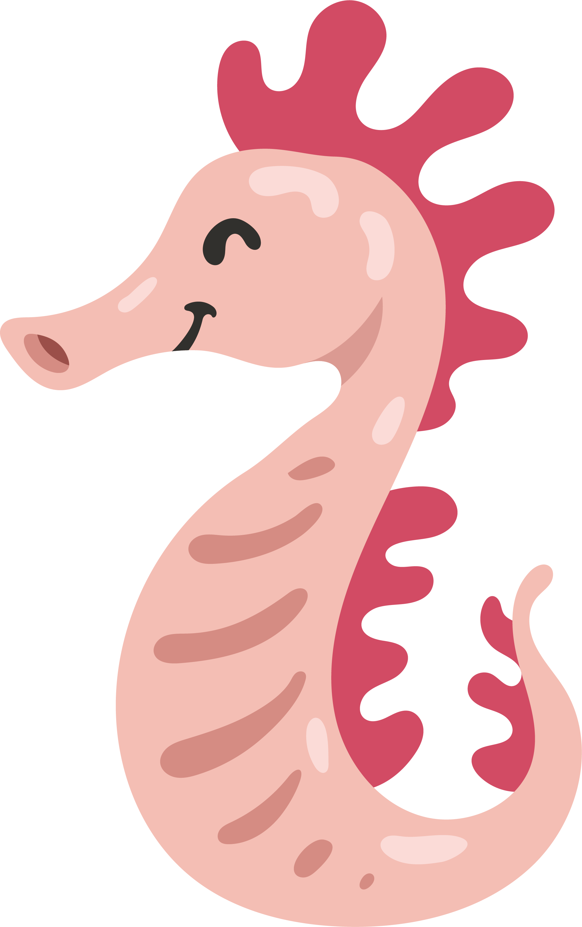 Euclidean Vector Clip Art - Pink Cartoon Seahorse Png (2024x3224)